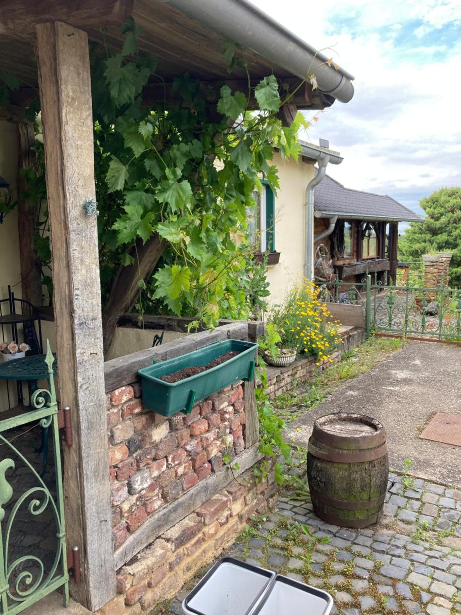 Sternenzauber