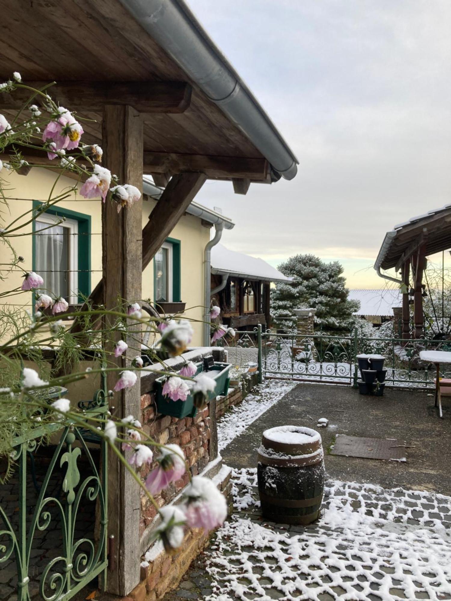 Sternenzauber * Bad Muenstereifel